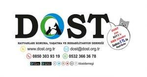 Dost Derneği