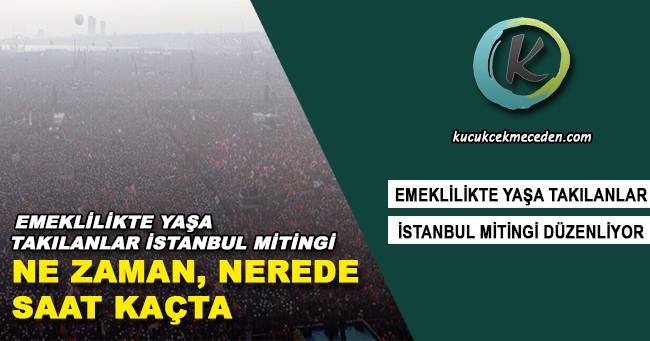Emeklilikte Yaşa Takılanlar İstanbul Mitingi Emeklilikte Yaşa Takılanlar İstanbul Mitingi