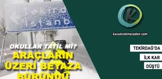 Tekirdağ'da Kar Yağışı Başladı