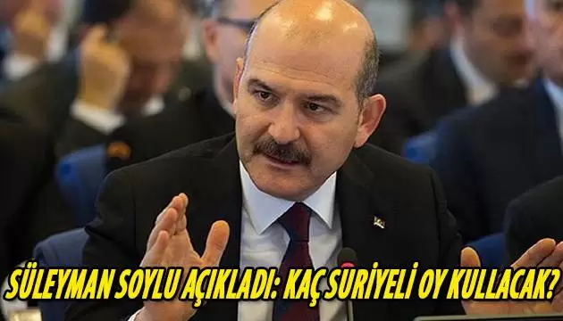 Kaç Suriyeli Oy Kullanacak