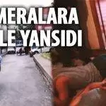 dfgbbdf