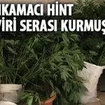 kcek