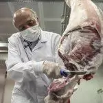 Küçükçekmece Kasapları