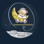 BabyNasaDoge coin nedir?