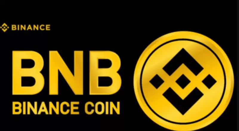 BNB Coin Price Analysis