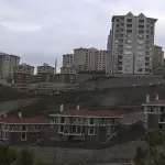 arsaicra