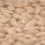 Kuru fasulye gaz yapmasın diye tencereye eklemek yetiyor… Bugüne kadar boşa sancı çekmişiz