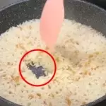 Pirinç pilavını pasparlak yapan aşçılık sırrı. Ustası hiç söylememişti! Dahası pilav tane tane oluyor 74 Pirinç pilavını pasparlak yapan aşçılık sırrı. Ustası hiç söylememişti! Dahası pilav tane tane oluyor